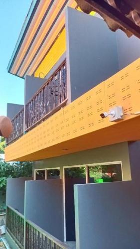 greenplace samed seahorse