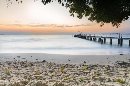 greenplace samed seahorse