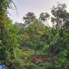 studio arambol green haven r 7