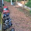 studio arambol green haven r 7