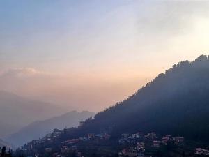 bay leaf by live inn