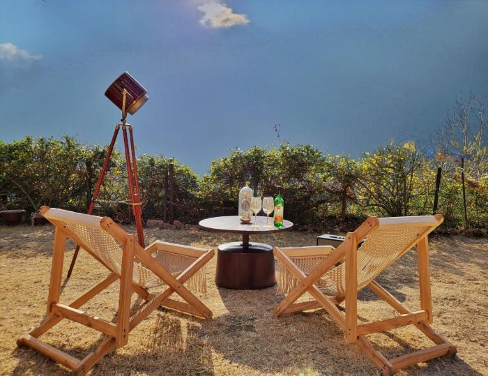 bay leaf by live inn