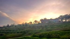 talula hill farmstay kluang