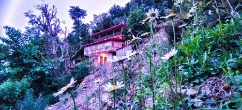 chakrata green hotel and camping