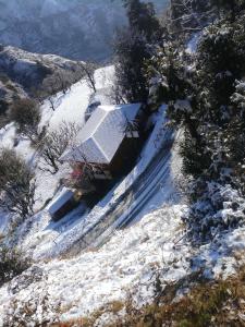 chakrata green hotel and camping