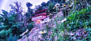 chakrata green hotel and camping