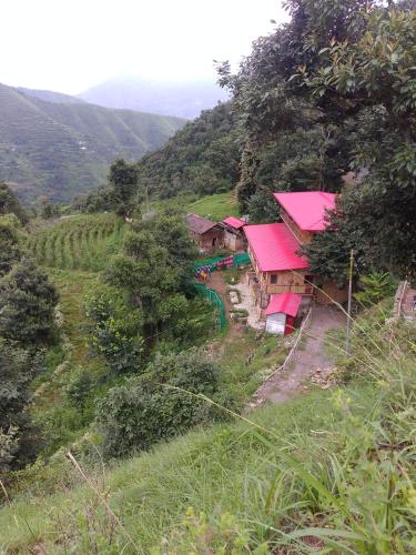 Chakrata Green Hotel And Camping,,3 star