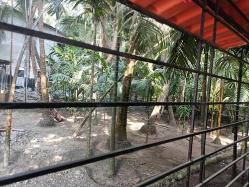 parvati niwas homestay nearby revdanda beach