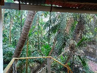 parvati niwas homestay nearby revdanda beach