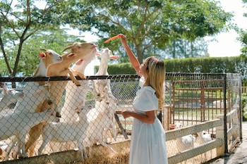 Estella Khao Yai,,4 star