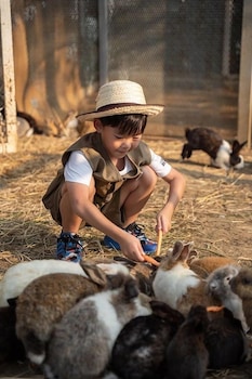 Estella Khao Yai,,4 star