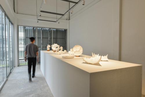 tiang capsule