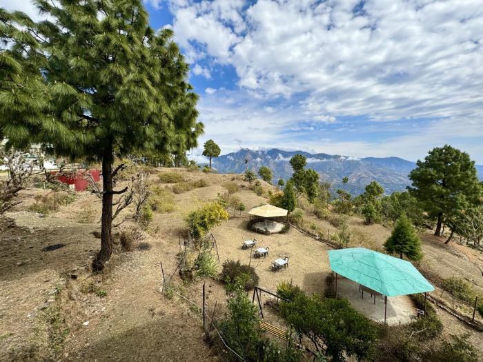 winterline gold resort