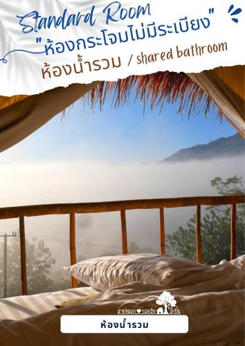 sai mok bok hak accommodation house sapan bo kluea nan