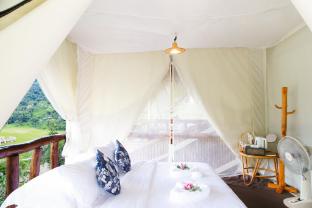 sai mok bok hak accommodation house sapan bo kluea nan