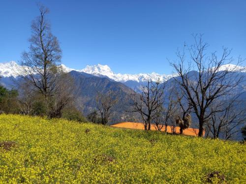 om the divine soul of devbhumi