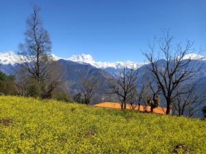 om the divine soul of devbhumi