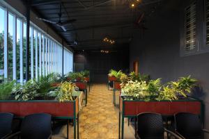 park residency koothattukulam