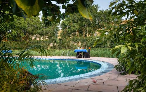 sunday alaya hotel and resort corbett