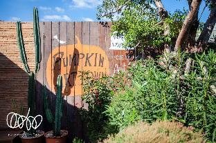 pumpkin art town