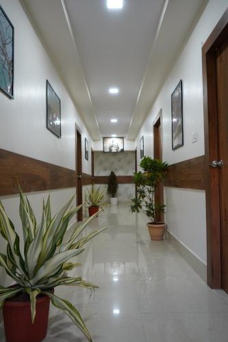 homey meadows vizag beach