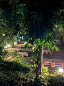 Inti Hostel Pushkar,,3 star