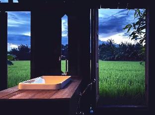 breathe rice valley