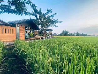 breathe rice valley