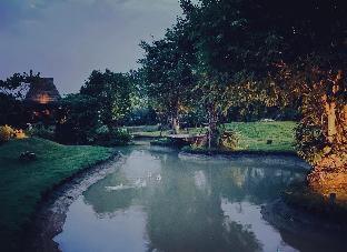 breathe rice valley
