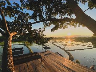 breathe rice valley