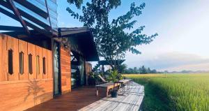breathe rice valley