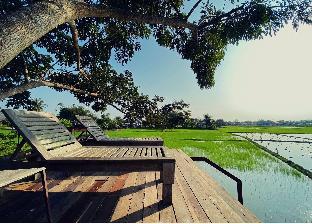 breathe rice valley