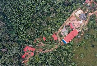 ibbani jungle resort