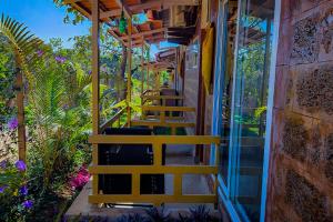 ibbani jungle resort