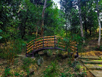 ibbani jungle resort