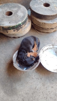 mae sot commune and camping