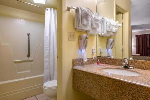 econo lodge inn and suites maingate central