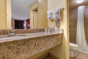 econo lodge inn and suites maingate central