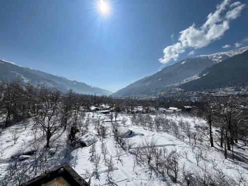 Hotel Nsb Manali,,3 star