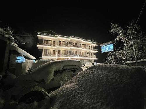 Hotel Nsb Manali,,3 star