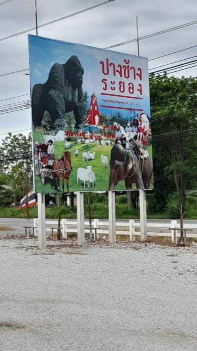 victory view rayong beach