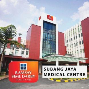swing and pillows subang ss15
