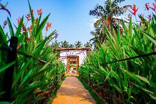 the titos orange sky agonda beach resort