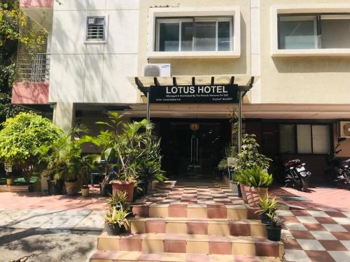 lotus hotel