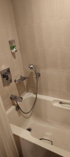 the deccan royaale shivaji nagar