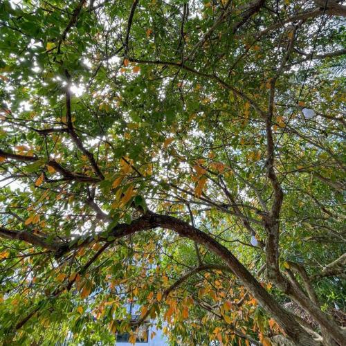 warehouse18 pool cafe resort