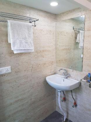 homlee heritage flat with kitchen in central delhi