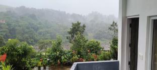 the paradise view stay