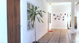 the paradise view stay