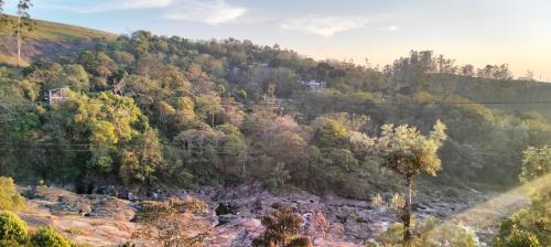 the paradise view stay